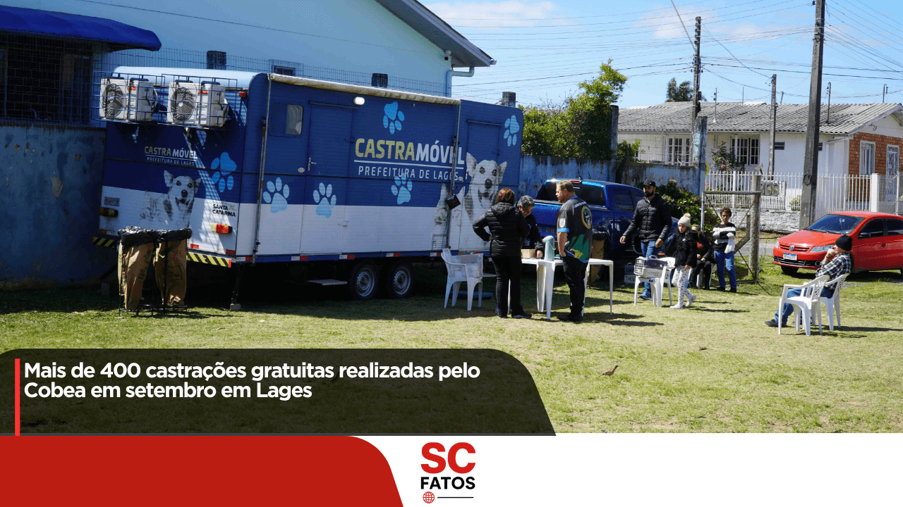 Mais de 400 castrações gratuitas realizadas pelo Cobea em setembro em Lages
