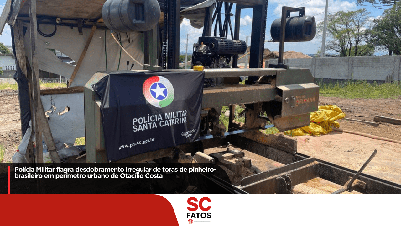 Polícia Militar flagra desdobramento irregular de toras de Pinheiro Brasileiro em perímetro urbano de Otacílio Costa