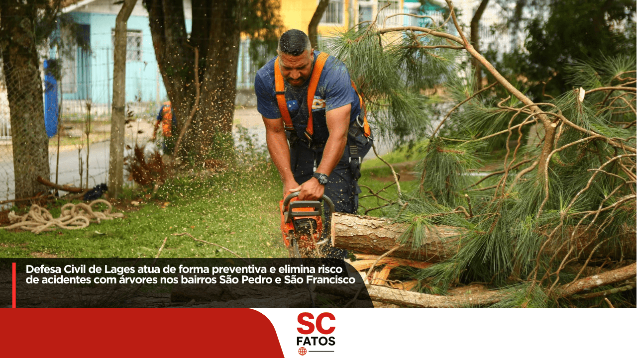 Defesa Civil de Lages atua de forma preventiva e elimina risco de acidentes com árvores nos bairros São Pedro e São Francisco