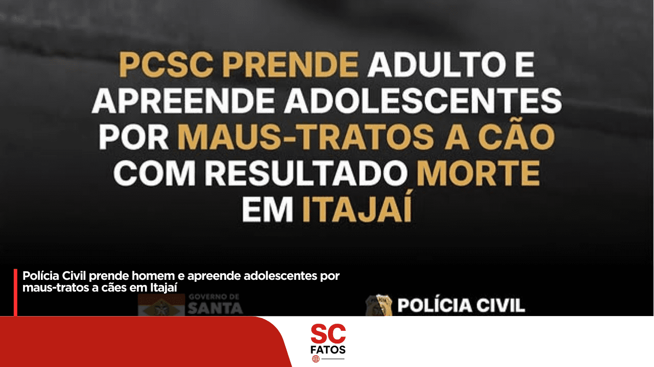 Polícia Civil prende homem e apreende adolescentes por maus-tratos a cães em Itajai