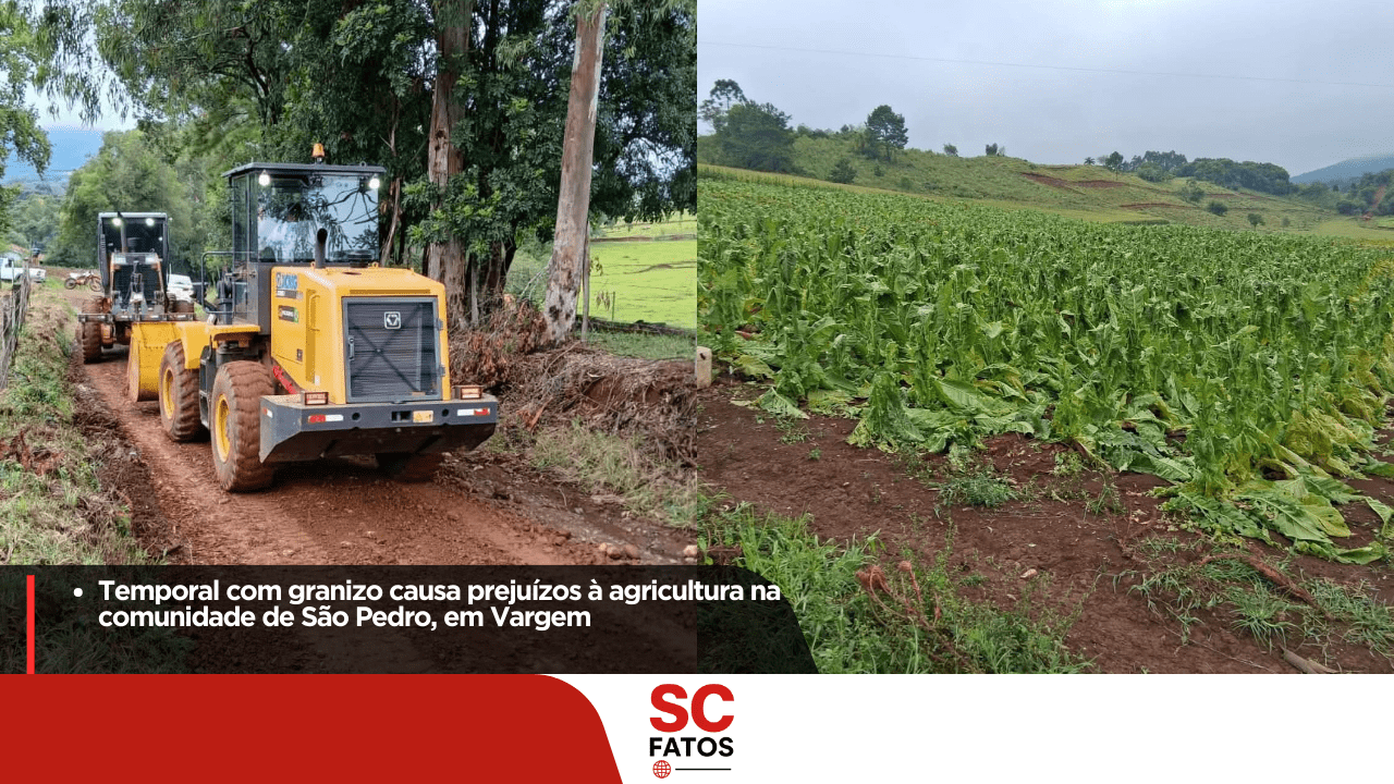 Temporal com granizo causa prejuízos à agricultura na comunidade de São Pedro, em Vargem