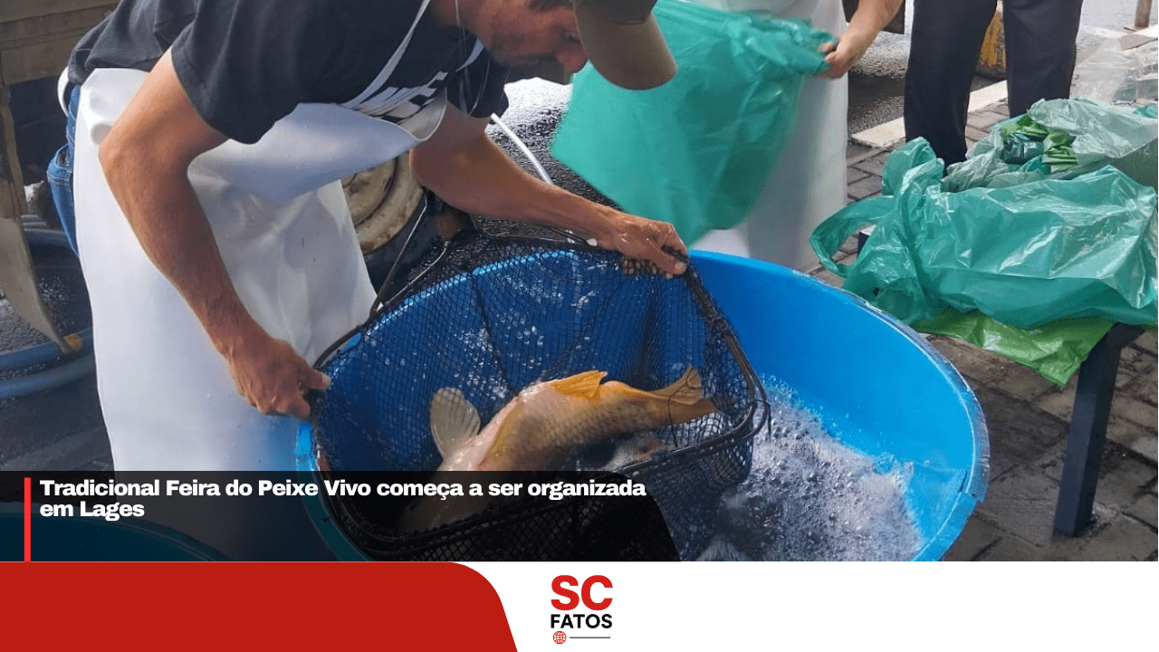 Tradicional Feira do Peixe Vivo começa a ser organizada em Lages