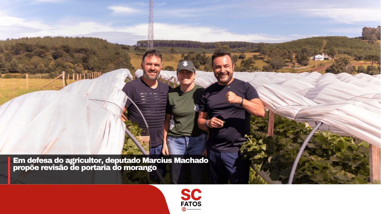 Em defesa do agricultor, deputado Marcius Machado propõe revisão de portaria do morango
