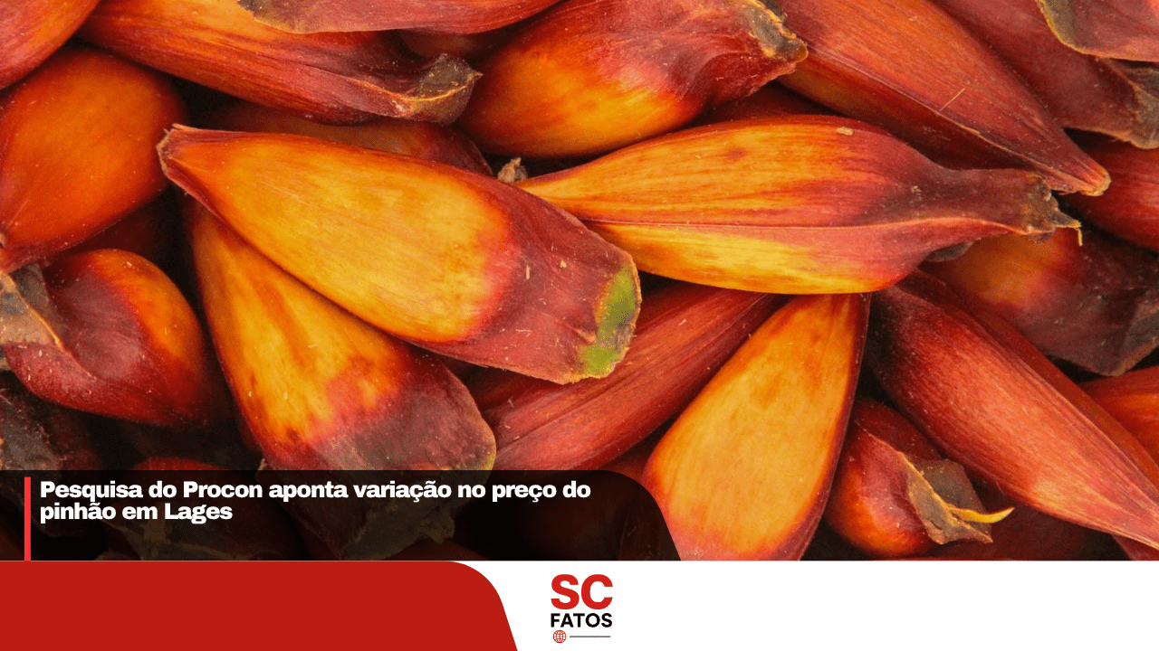 Pesquisa do Procon aponta variação no preço do pinhão em Lages