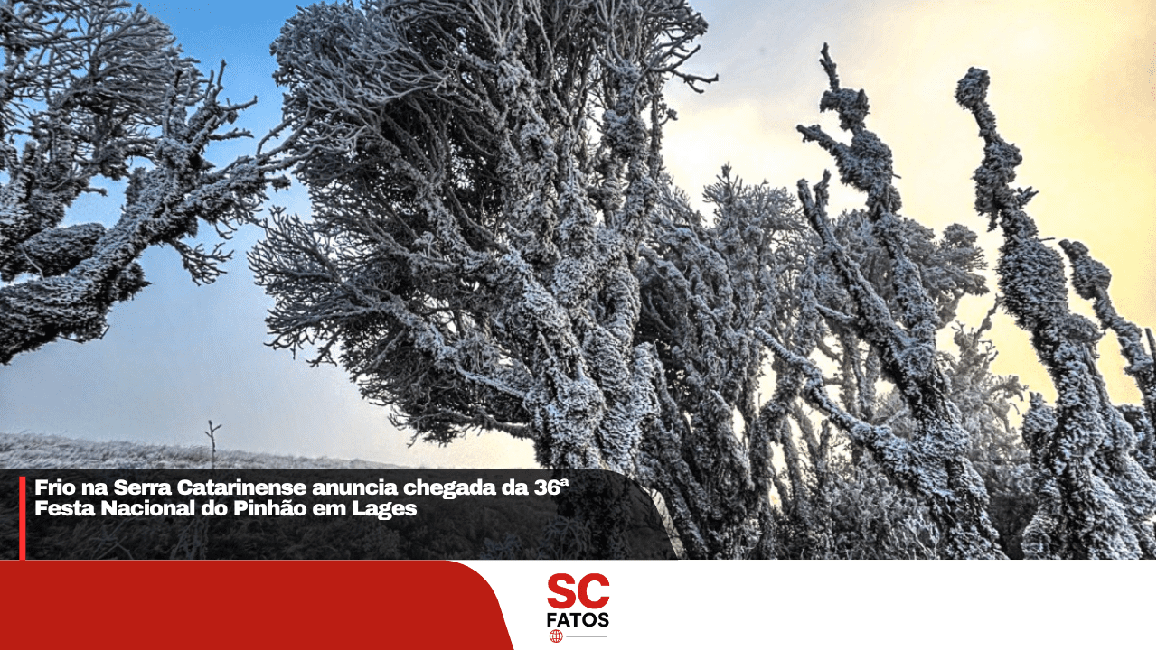 Frio na Serra Catarinense anuncia chegada da 36ª Festa Nacional do Pinhão em Lages