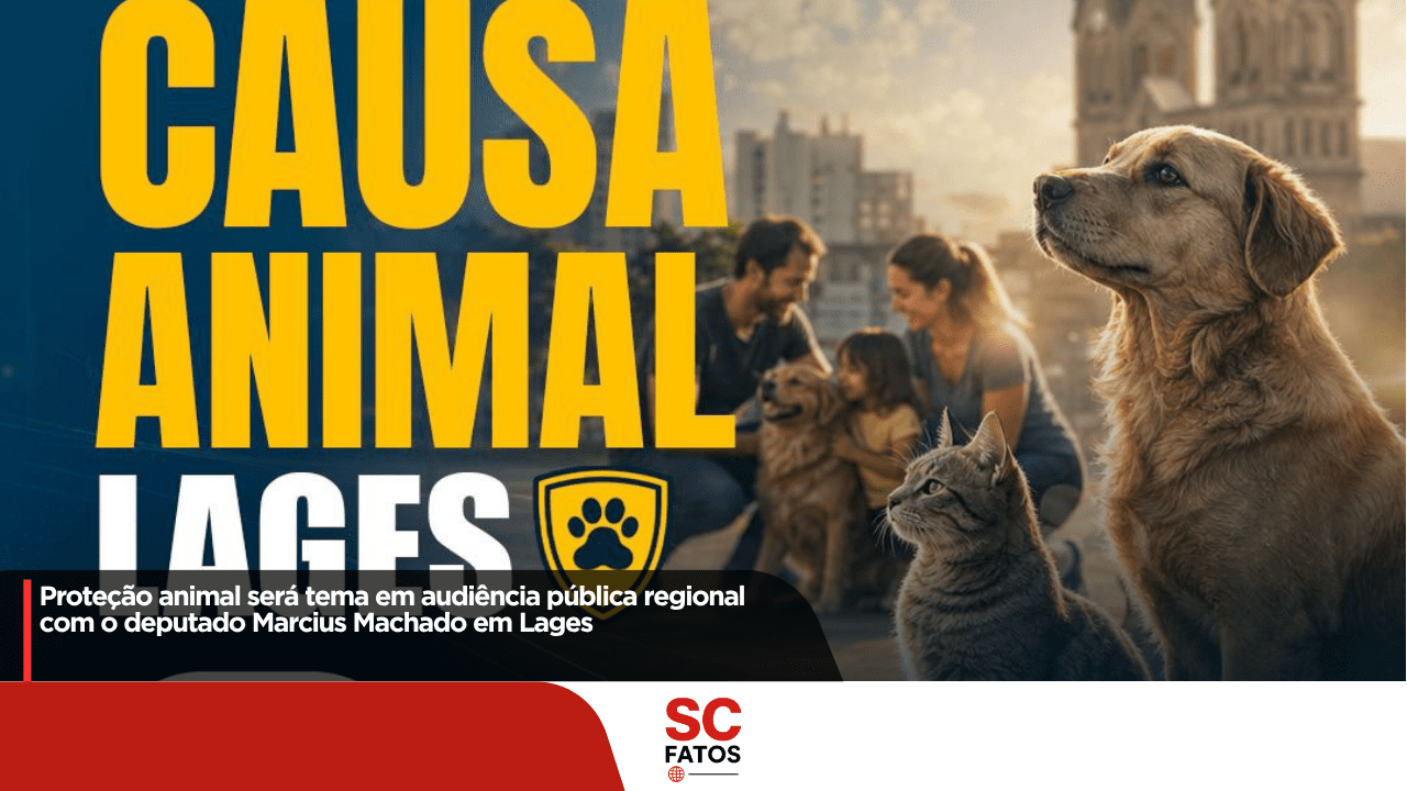 Proteção animal será tema em audiência pública regional com o deputado Marcius Machado em Lages