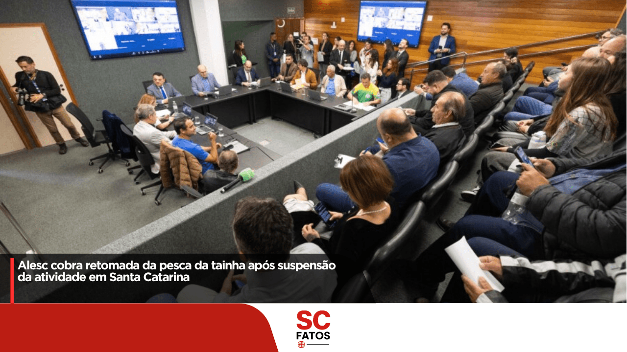 Alesc cobra retomada da pesca de arrasto da tainha e revisão das cotas em Santa Catarina