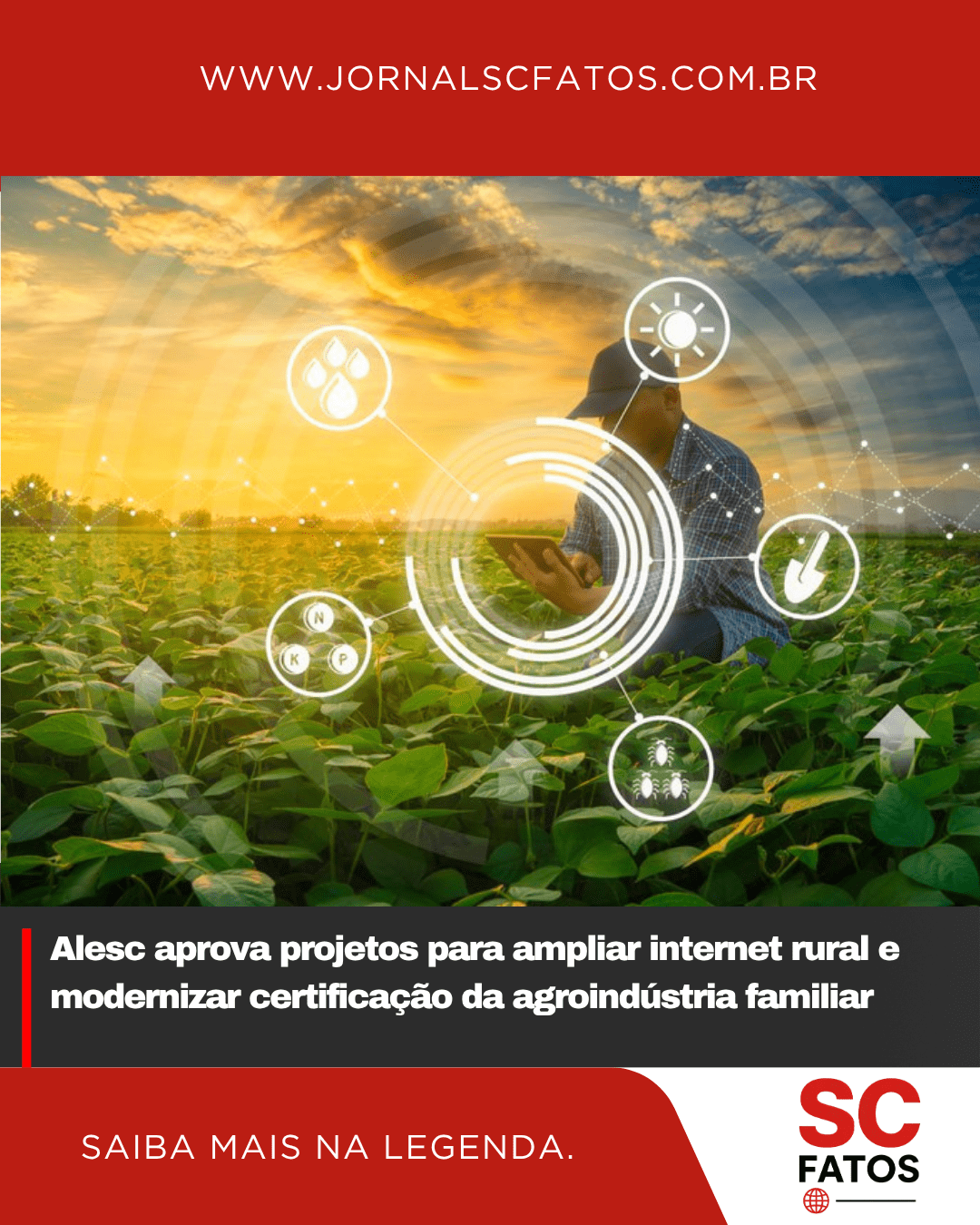 Alesc aprova projetos para ampliar internet rural e modernizar certificação da agroindústria familiar