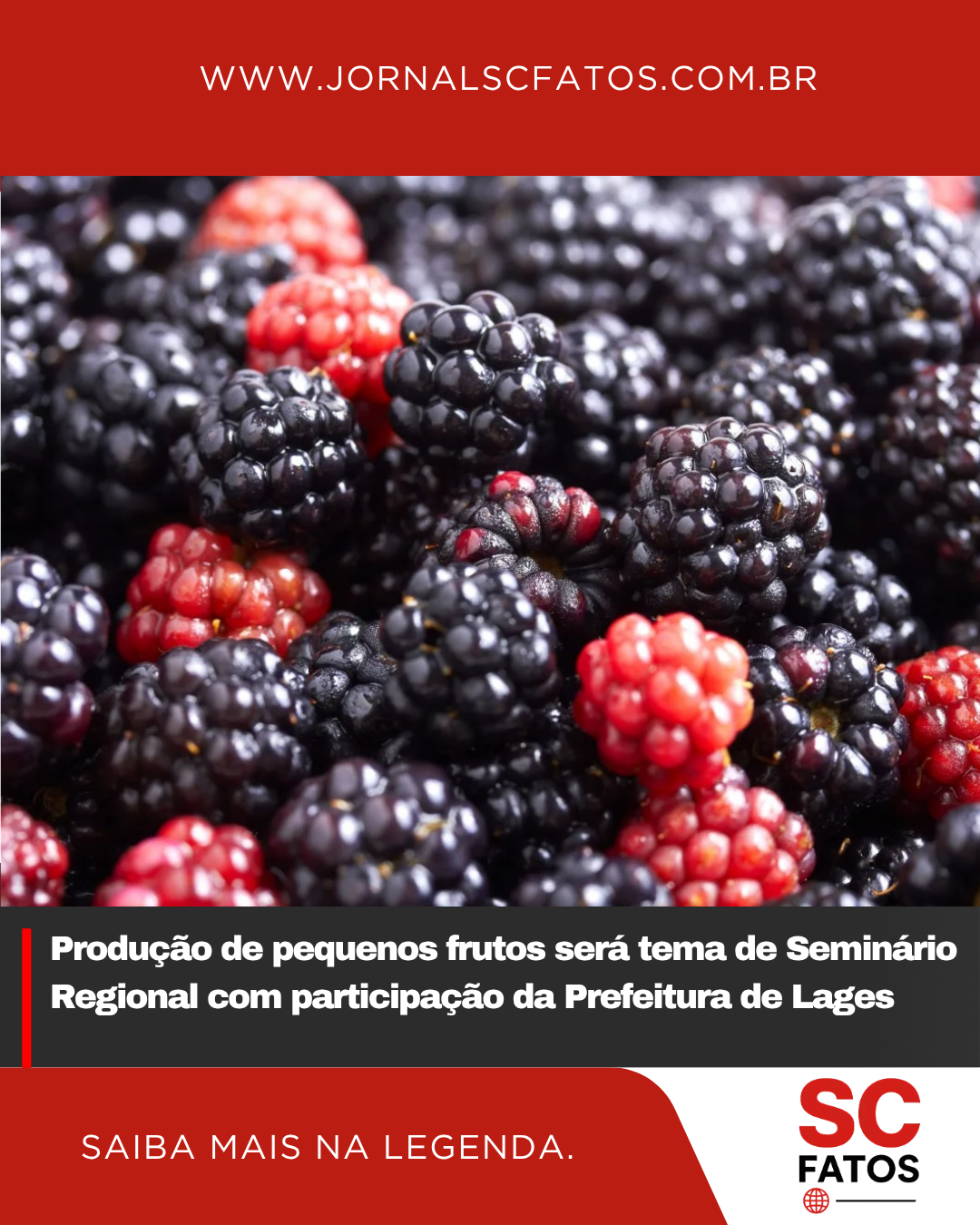 Produção de pequenos frutos será tema de Seminário Regional com participação da Prefeitura de Lages