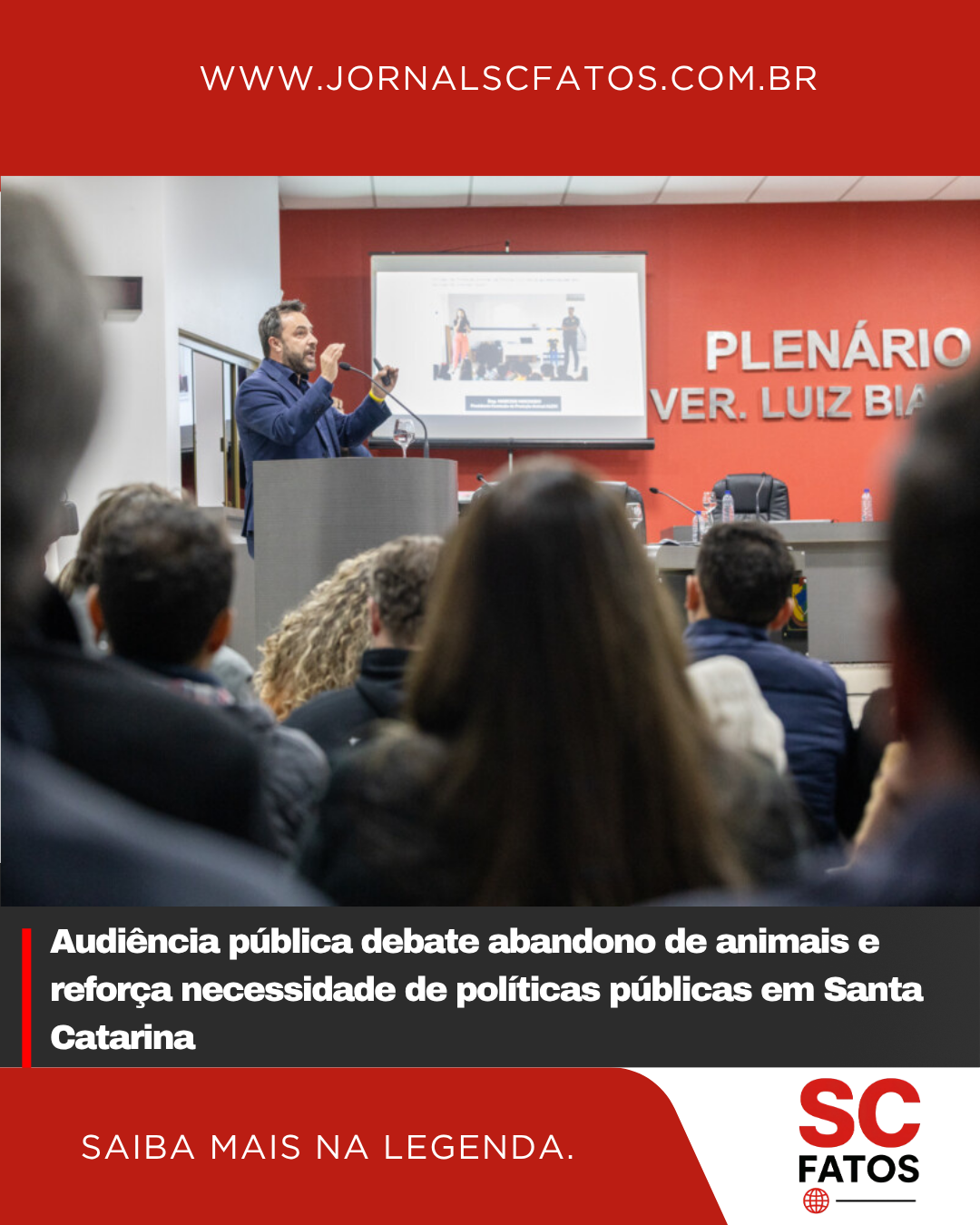 Audiência pública debate abandono de animais e reforça necessidade de políticas públicas em Santa Catarina