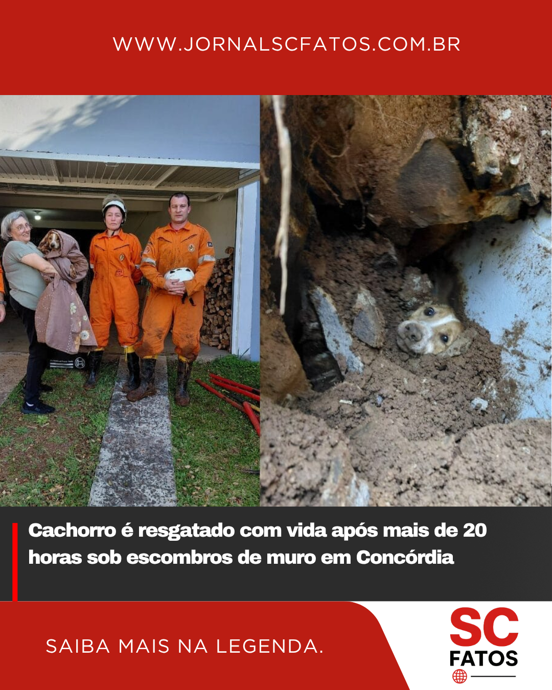 Cachorro é resgatado com vida após mais de 20 horas sob escombros de muro em Concórdia
