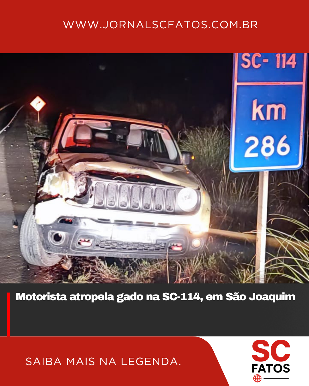 Motorista atropela gado na SC-114, em São Joaquim