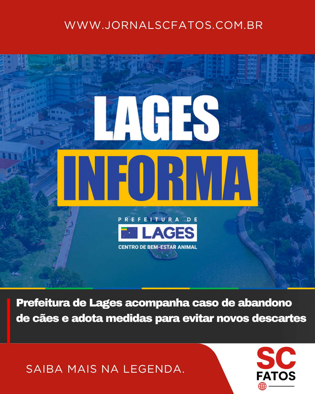 Prefeitura de Lages acompanha caso de abandono de cães e adota medidas para evitar novos descartes