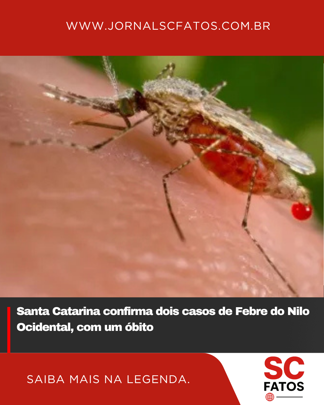 Santa Catarina confirma dois casos de Febre do Nilo Ocidental, com um óbito