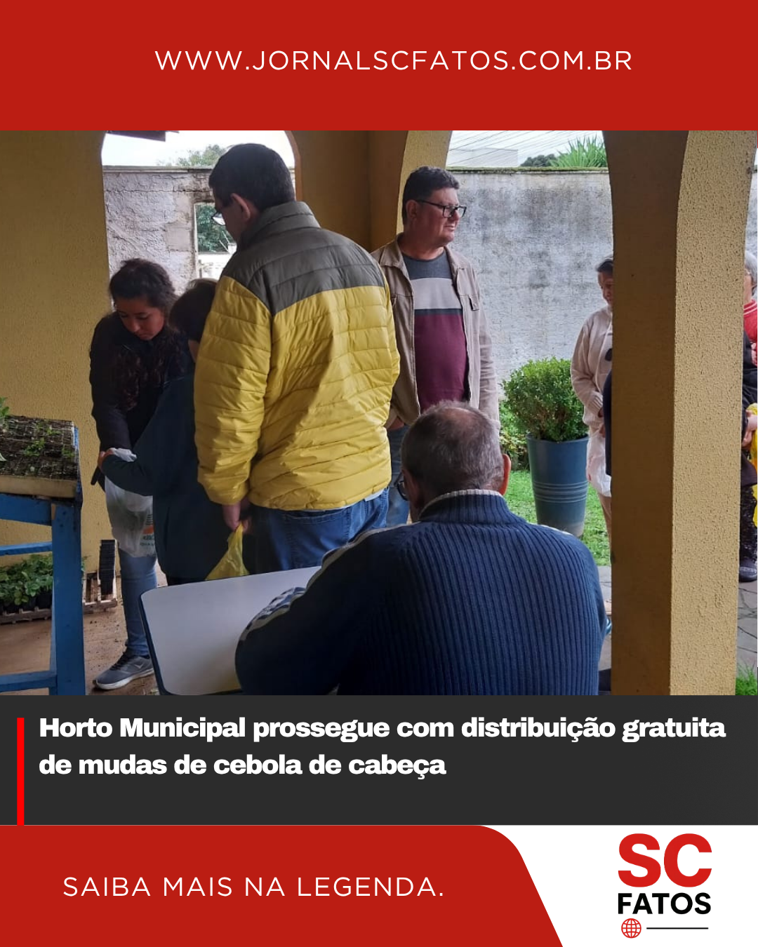 Horto Municipal prossegue com distribuição gratuita de mudas de cebola de cabeça