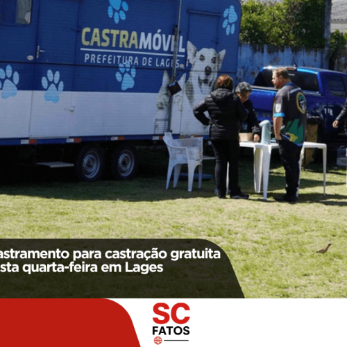 Cobea realiza cadastramento para castração gratuita de cães e gatos nesta quarta-feira em Lages