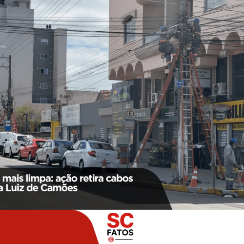 Menos fios, cidade mais limpa: ação retira cabos inativos na avenida Luiz de Camões