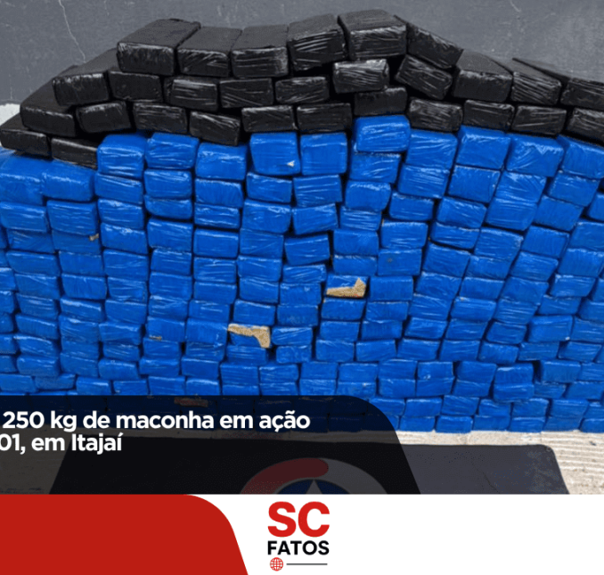 Polícia apreende 250 kg de maconha em ação conjunta na BR-101, em Itajaí