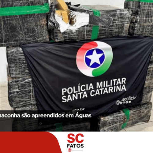 Quase 300 kg de maconha são apreendidos em Águas Mornas