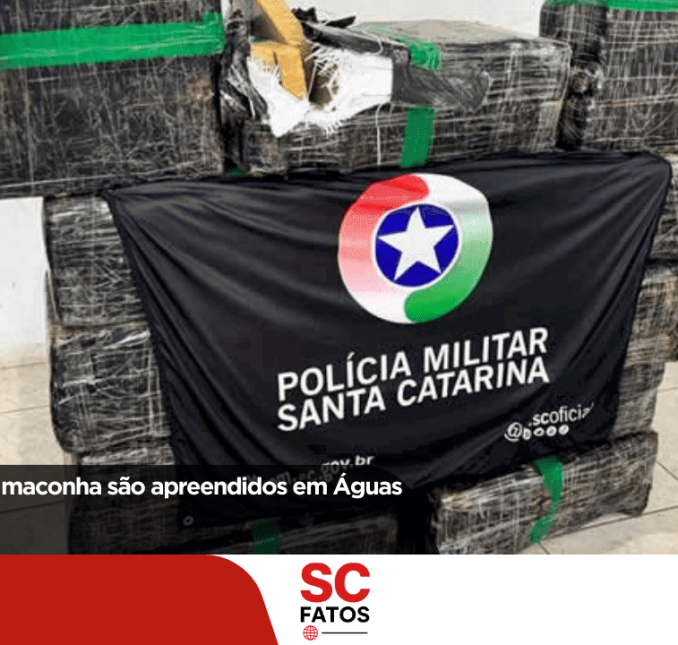 Quase 300 kg de maconha são apreendidos em Águas Mornas