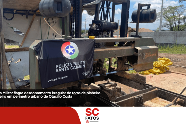 Polícia Militar flagra desdobramento irregular de toras de Pinheiro Brasileiro em perímetro urbano de Otacílio Costa