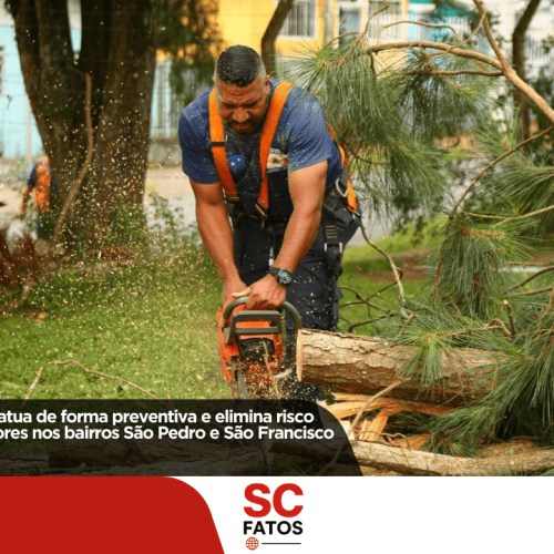 Defesa Civil de Lages atua de forma preventiva e elimina risco de acidentes com árvores nos bairros São Pedro e São Francisco