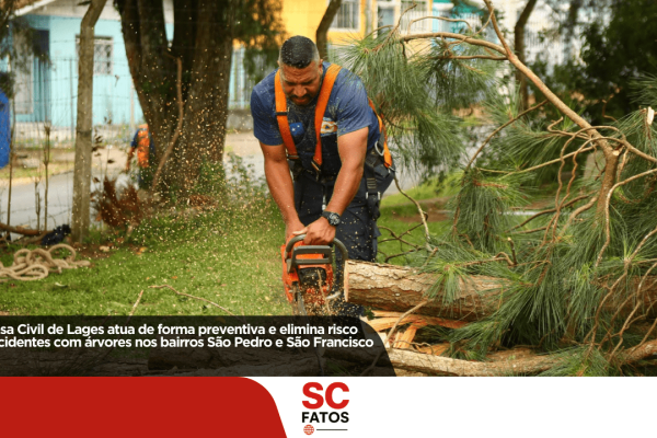 Defesa Civil de Lages atua de forma preventiva e elimina risco de acidentes com árvores nos bairros São Pedro e São Francisco