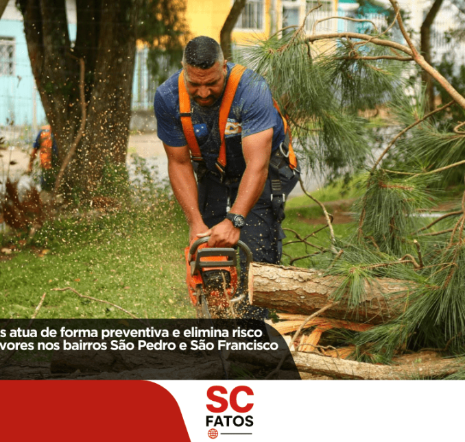 Defesa Civil de Lages atua de forma preventiva e elimina risco de acidentes com árvores nos bairros São Pedro e São Francisco