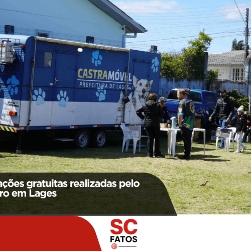 Mais de 400 castrações gratuitas realizadas pelo Cobea em setembro em Lages