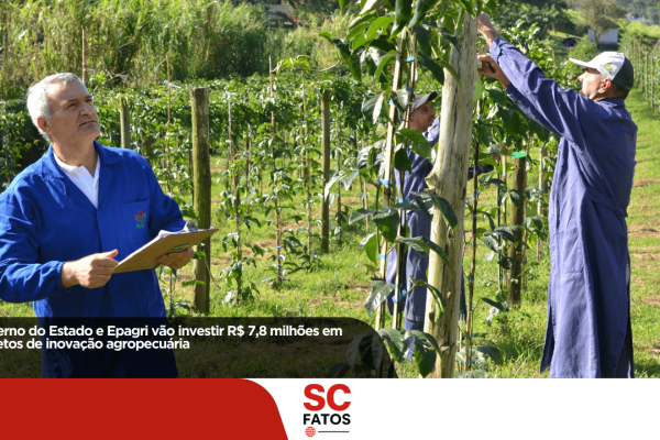 Governo do Estado e Epagri vão investir R$ 7,8 milhões em projetos de inovação agropecuária
