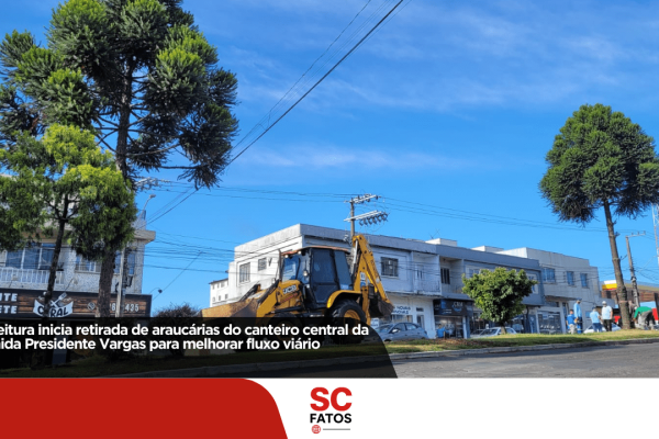 Prefeitura inicia retirada de araucárias do canteiro central da Avenida Presidente Vargas para melhorar fluxo viário