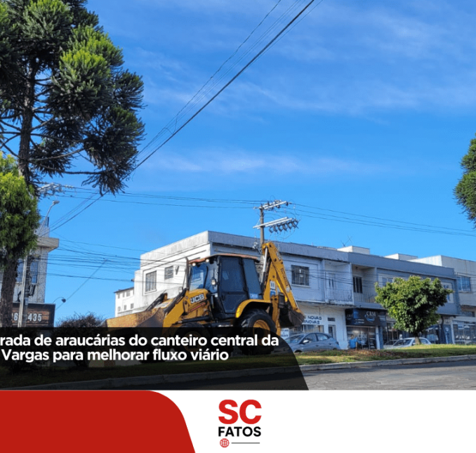 Prefeitura inicia retirada de araucárias do canteiro central da Avenida Presidente Vargas para melhorar fluxo viário