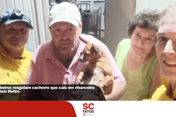 Bombeiros resgatam cachorro que caiu em ribanceira em Bom Retiro