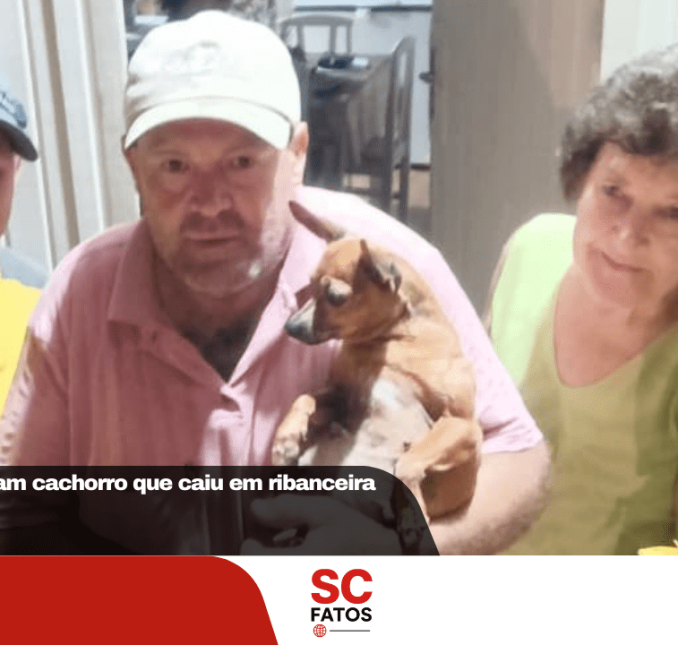 Bombeiros resgatam cachorro que caiu em ribanceira em Bom Retiro