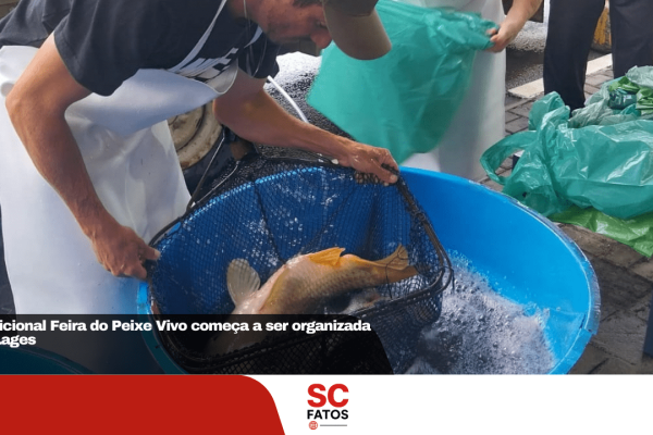 Tradicional Feira do Peixe Vivo começa a ser organizada em Lages