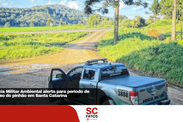 Polícia Militar Ambiental alerta para período de defeso do pinhão em Santa Catarina