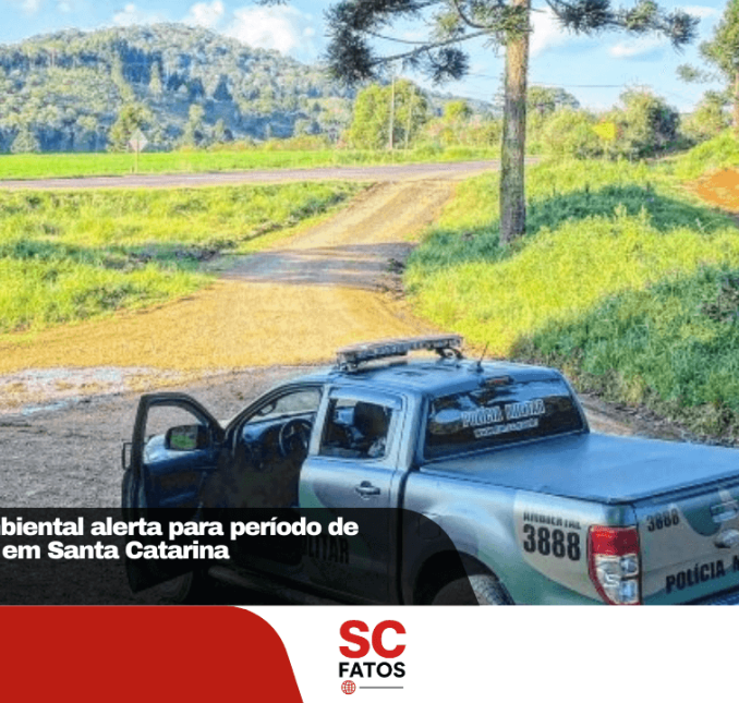 Polícia Militar Ambiental alerta para período de defeso do pinhão em Santa Catarina
