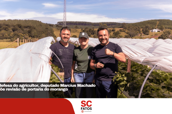 Em defesa do agricultor, deputado Marcius Machado propõe revisão de portaria do morango