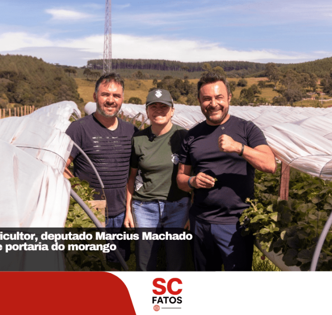 Em defesa do agricultor, deputado Marcius Machado propõe revisão de portaria do morango