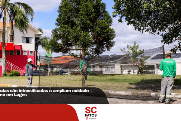 Roçadas são intensificadas e ampliam cuidado urbano em Lages