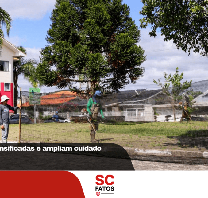 Roçadas são intensificadas e ampliam cuidado urbano em Lages