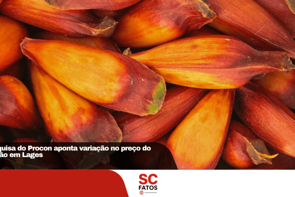 Pesquisa do Procon aponta variação no preço do pinhão em Lages