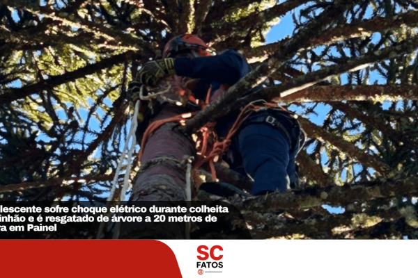 Adolescente sofre choque elétrico durante colheita de pinhão e é resgatado de árvore a 20 metros de altura em Painel