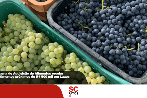 Programa de Aquisição de Alimentos recebe investimentos próximos de R$ 500 mil em Lages