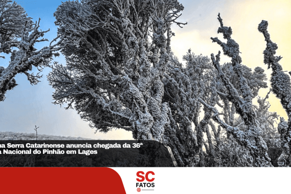 Frio na Serra Catarinense anuncia chegada da 36ª Festa Nacional do Pinhão em Lages