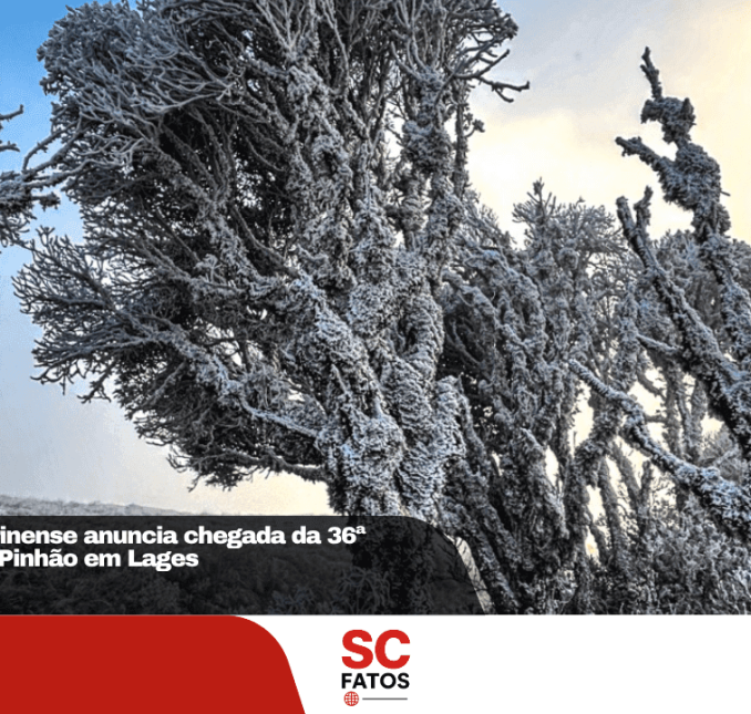 Frio na Serra Catarinense anuncia chegada da 36ª Festa Nacional do Pinhão em Lages