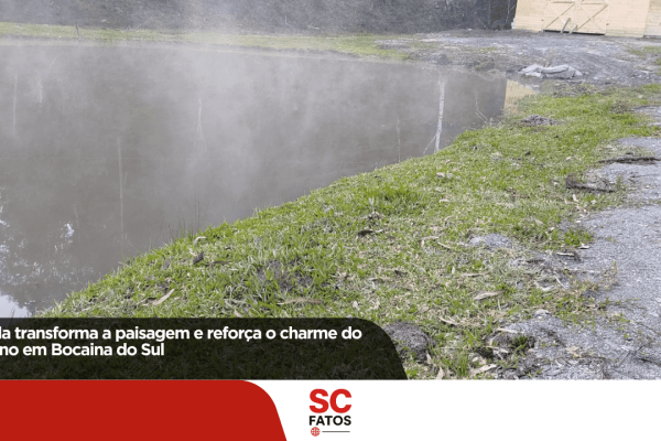 Geada transforma a paisagem e reforça o charme do inverno em Bocaina do Sul