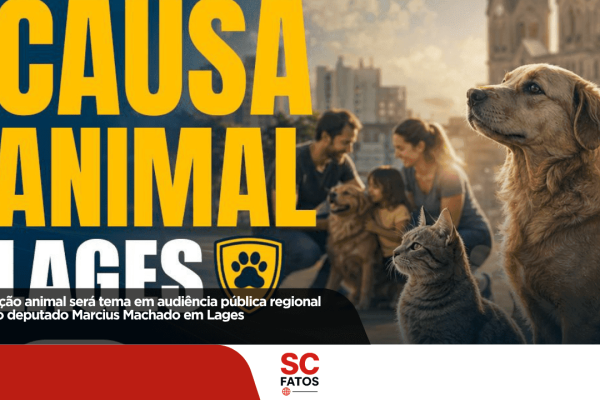 Proteção animal será tema em audiência pública regional com o deputado Marcius Machado em Lages