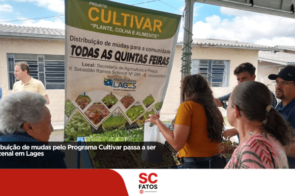 Distribuição de mudas pelo Programa Cultivar passa a ser quinzenal em Lages Primeira feira de 2026.