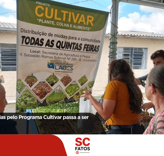 Distribuição de mudas pelo Programa Cultivar passa a ser quinzenal em Lages Primeira feira de 2026.